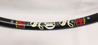 ráfik SUNRIMS DISC 36D